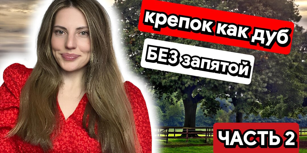 10 случаев, когда запятая перед КАК не нужна (Часть II)