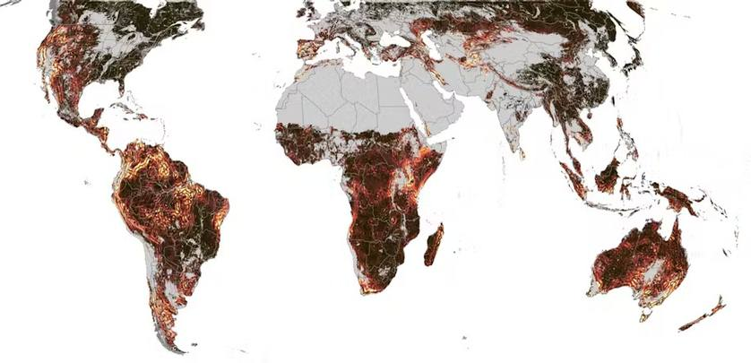 Горячие точки сезонной асинхронности: более яркие цвета показывают регионы, где сезонная активность сильно варьируется на близких расстояниях. Кредит: Terasaki Hart et al./Nature, 2025.