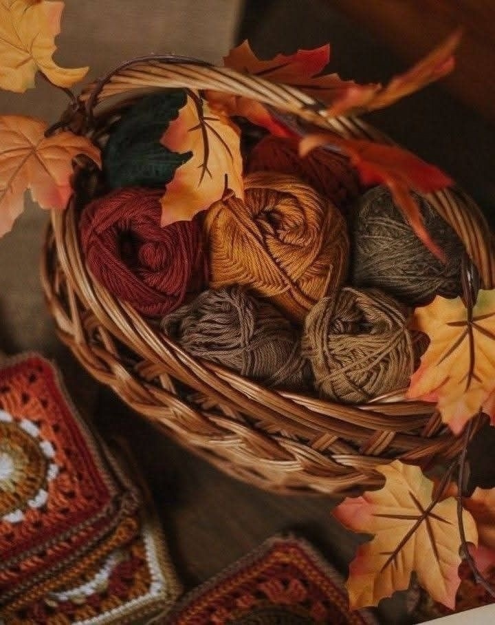 Фото из интернета 