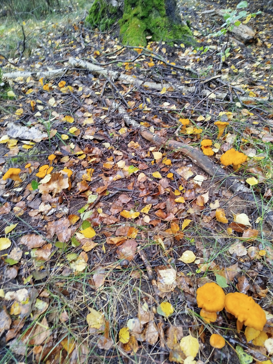 Молодые, хорошенькие.