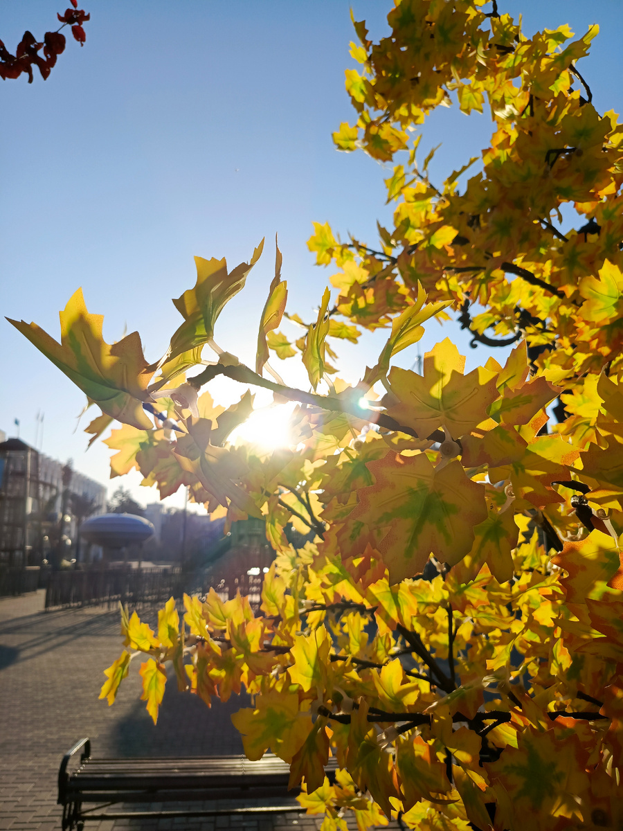 Осень! Снова в садик, школу, колледж, институт, универ... На работу! 🤗 Нужное подчеркнуть!))