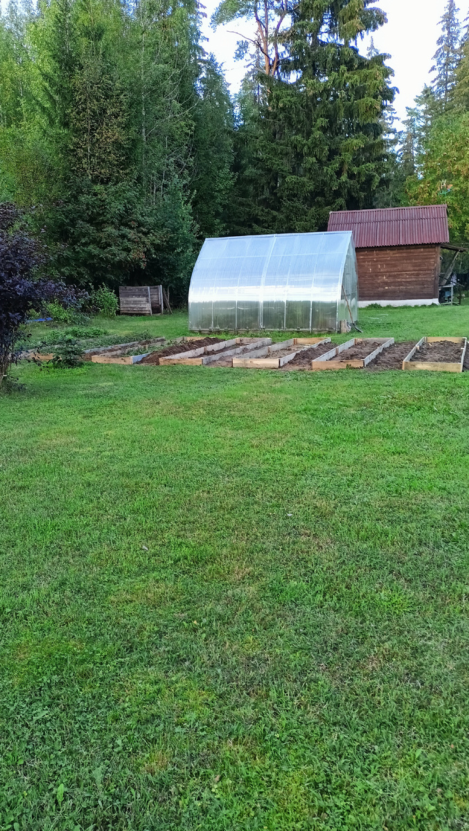 Фото автора. Дача. Грядки.