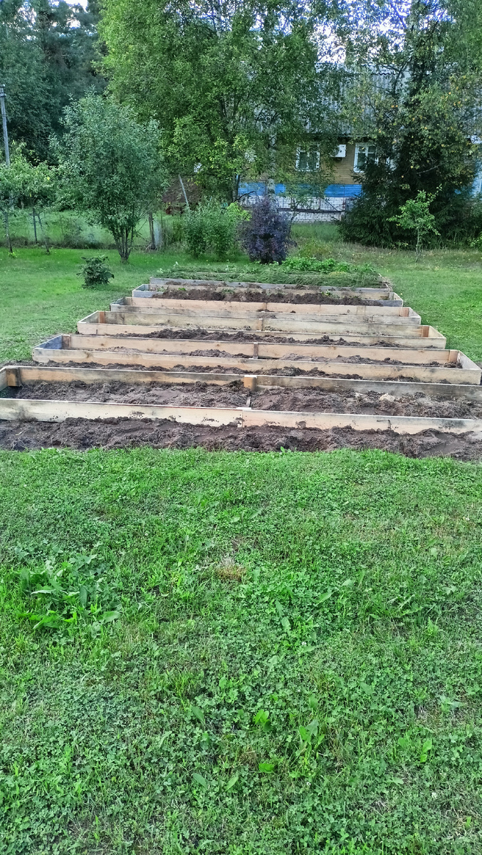 Фото автора. Дача. Грядки.