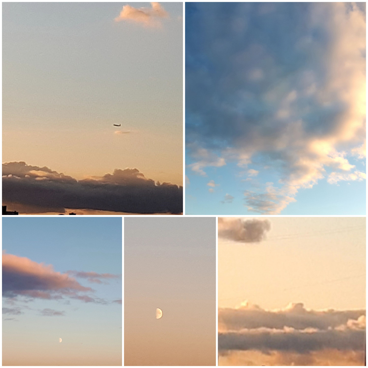 Коллаж автора 01.09.2025г.