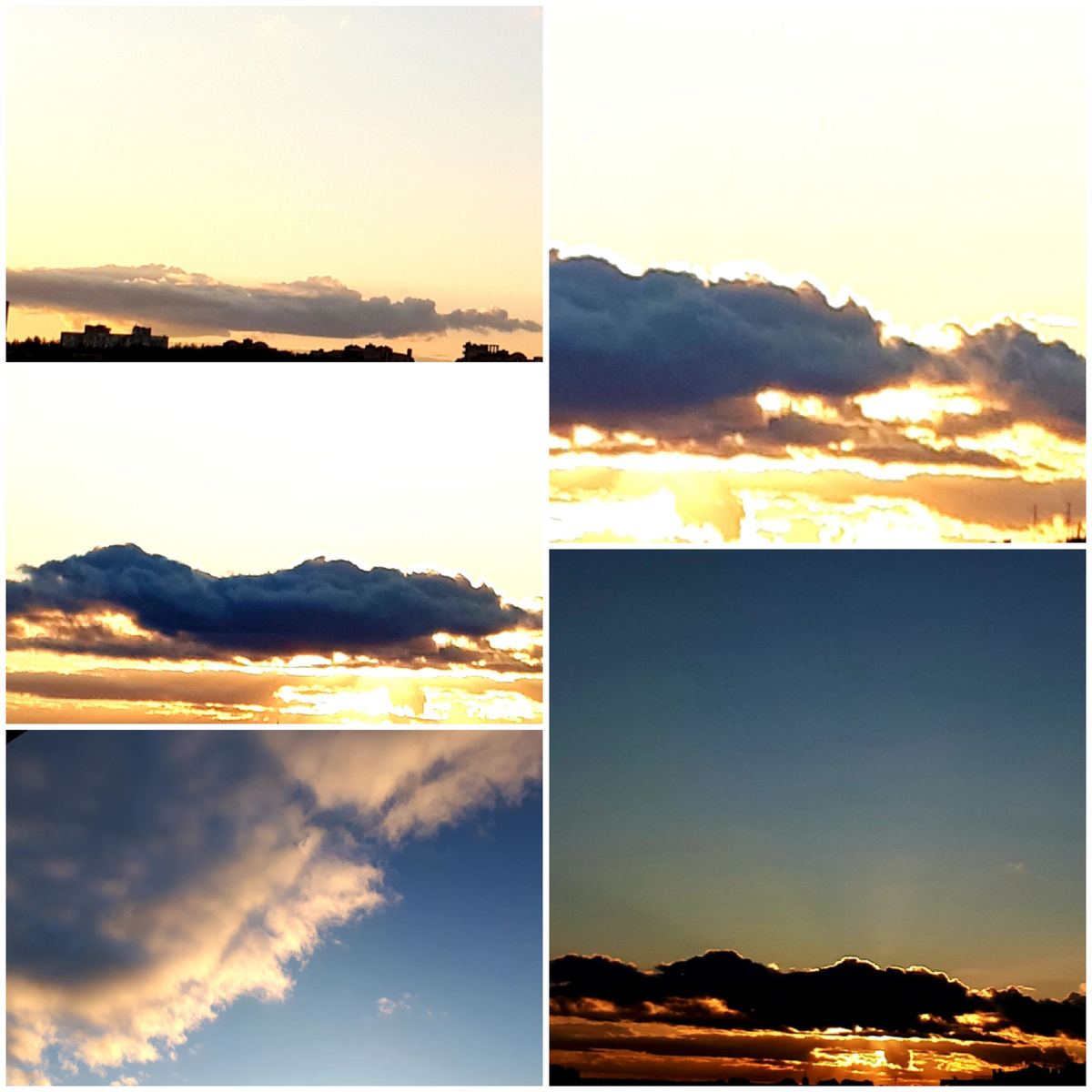 Коллаж автора 01.09.2025г.