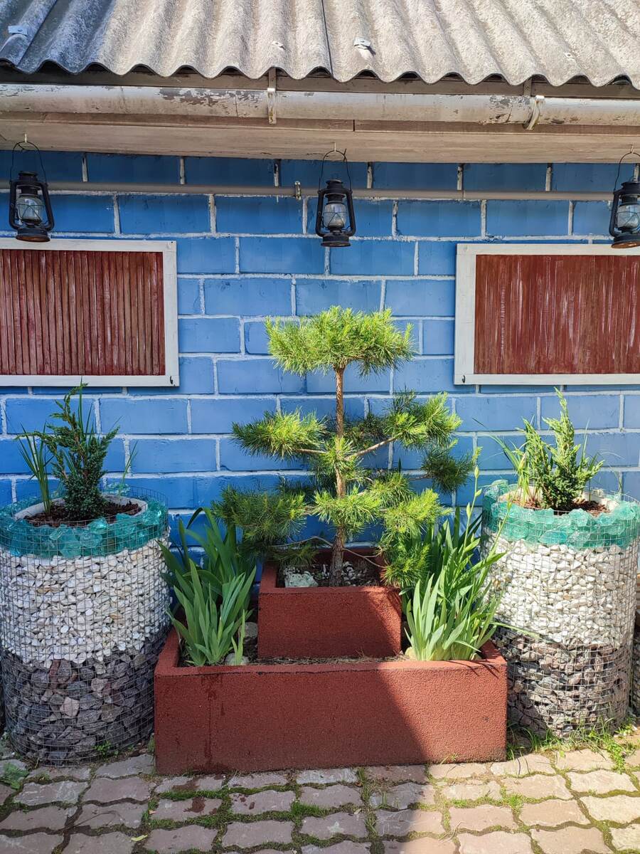 2. В галерее 3 фото, листайте