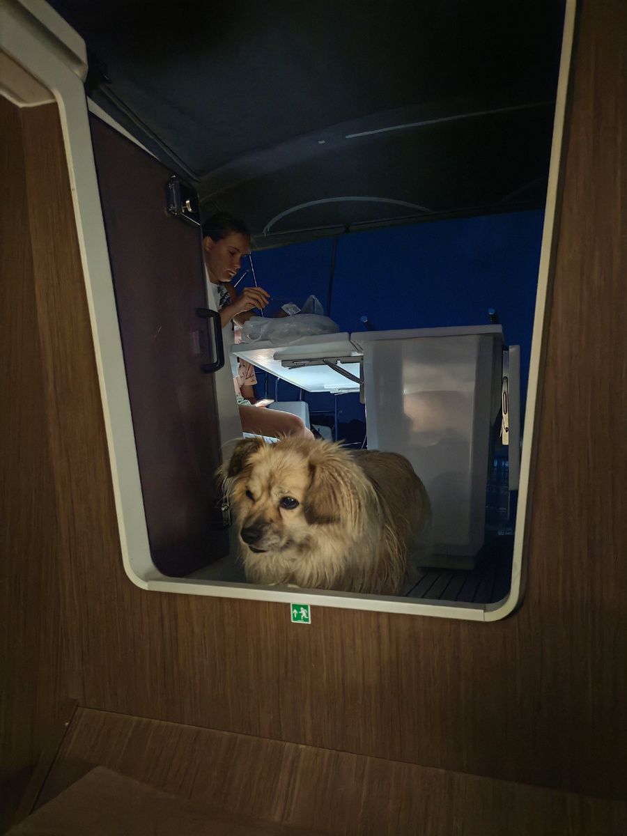 Самой трудной для него оказалсь лестница внутрь. Она крутая. А лапы у Эника короткие. Пару раз свалившись, Эник ее освоил. А потом научился на волне находить момент, когда лодка стояла на ровном киле, чтобы кубарем скатываться вниз или вылетать щариком наверх. 