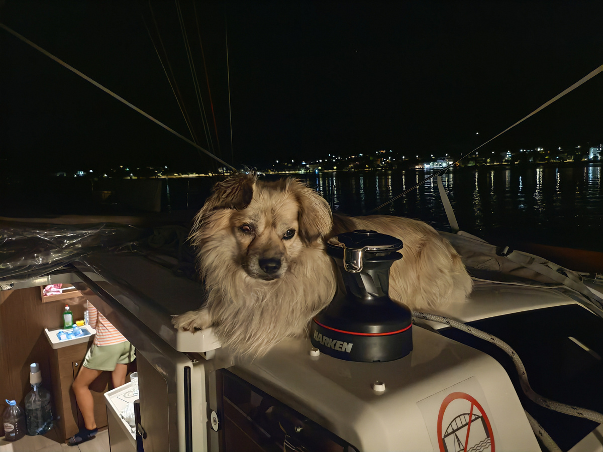 Любимым местом стала площадка у правой лебедки, тут была заведена только одна постоянно используемая веревка. Остальные я сбухтовал и ровно уложил. А Эник это очень оценил... Как некое подобие массажной лежанки. 