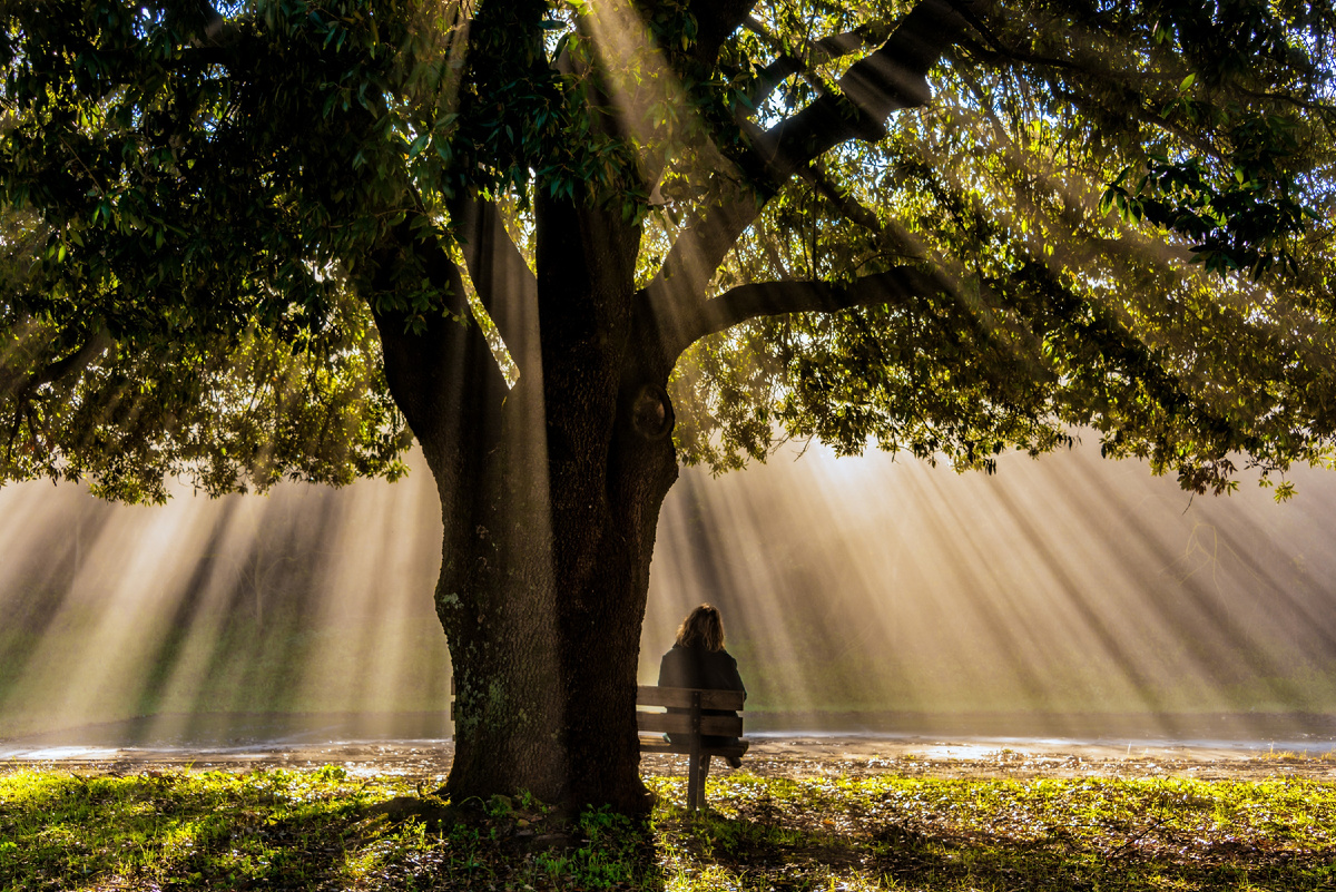 https://ru.freepik.com/free-photo/lonely-person-sitting-bench-old-oak-tree-torre-castello-siena_14702925.htm#fromView=search&page=1&position=0&uuid=6308ffa1-8bab-42c9-91ee-4b5e091c96d5&query=жизнь
