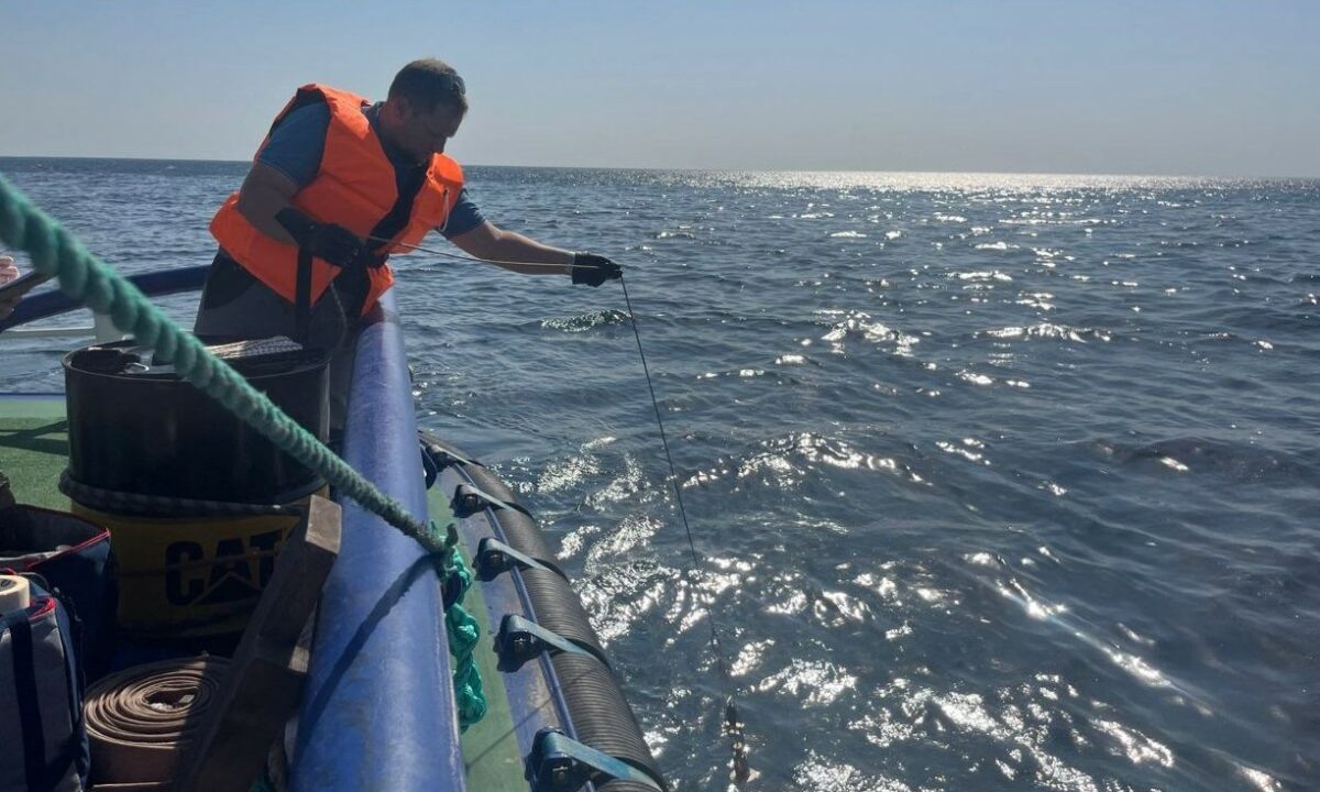    Фото t.me/Rosprirodnadzor_official