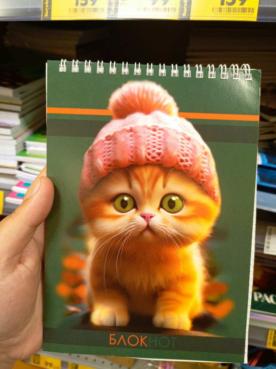 Фото сделано автором канала