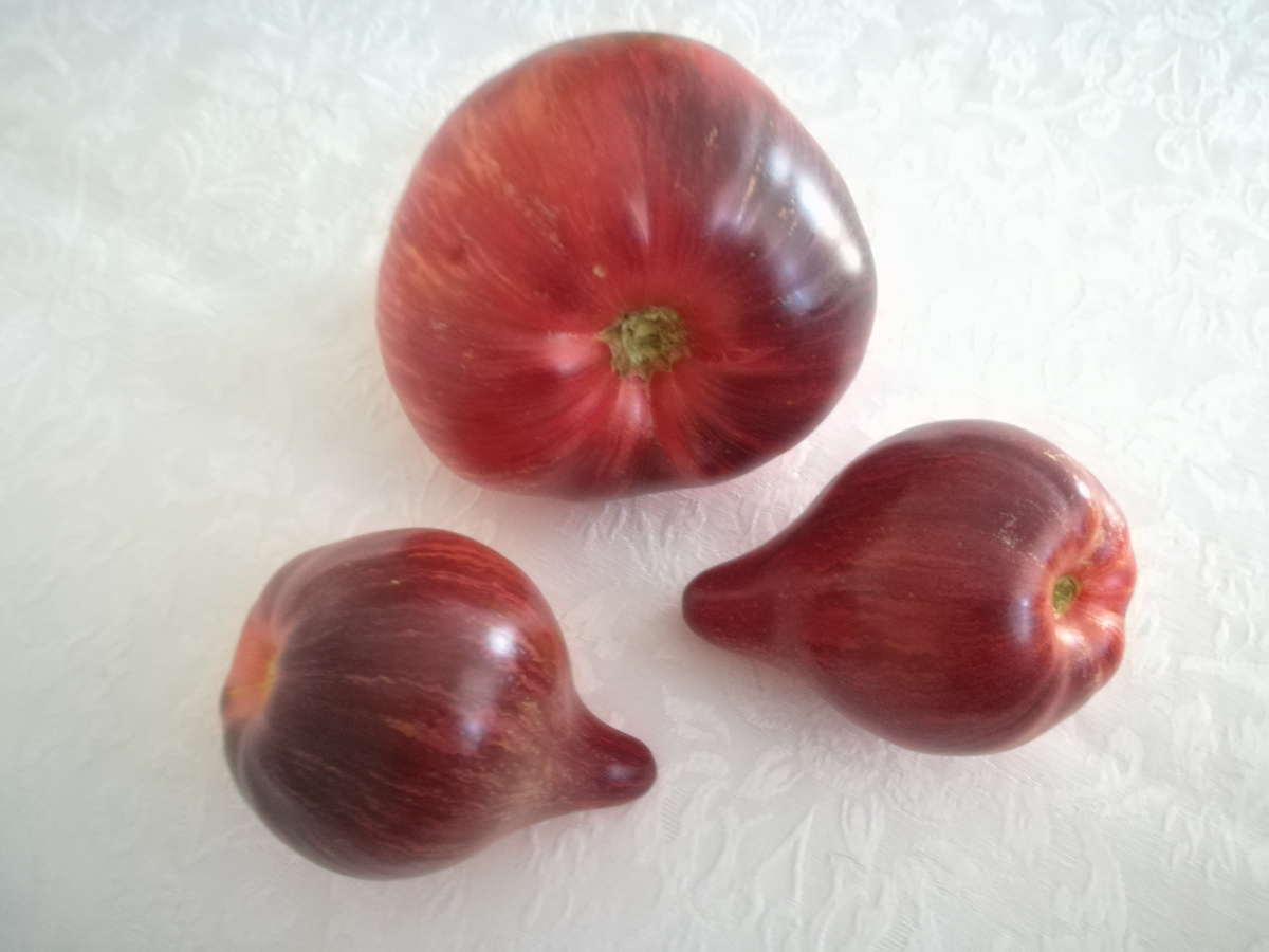 Томат "Огненная комета Софии"