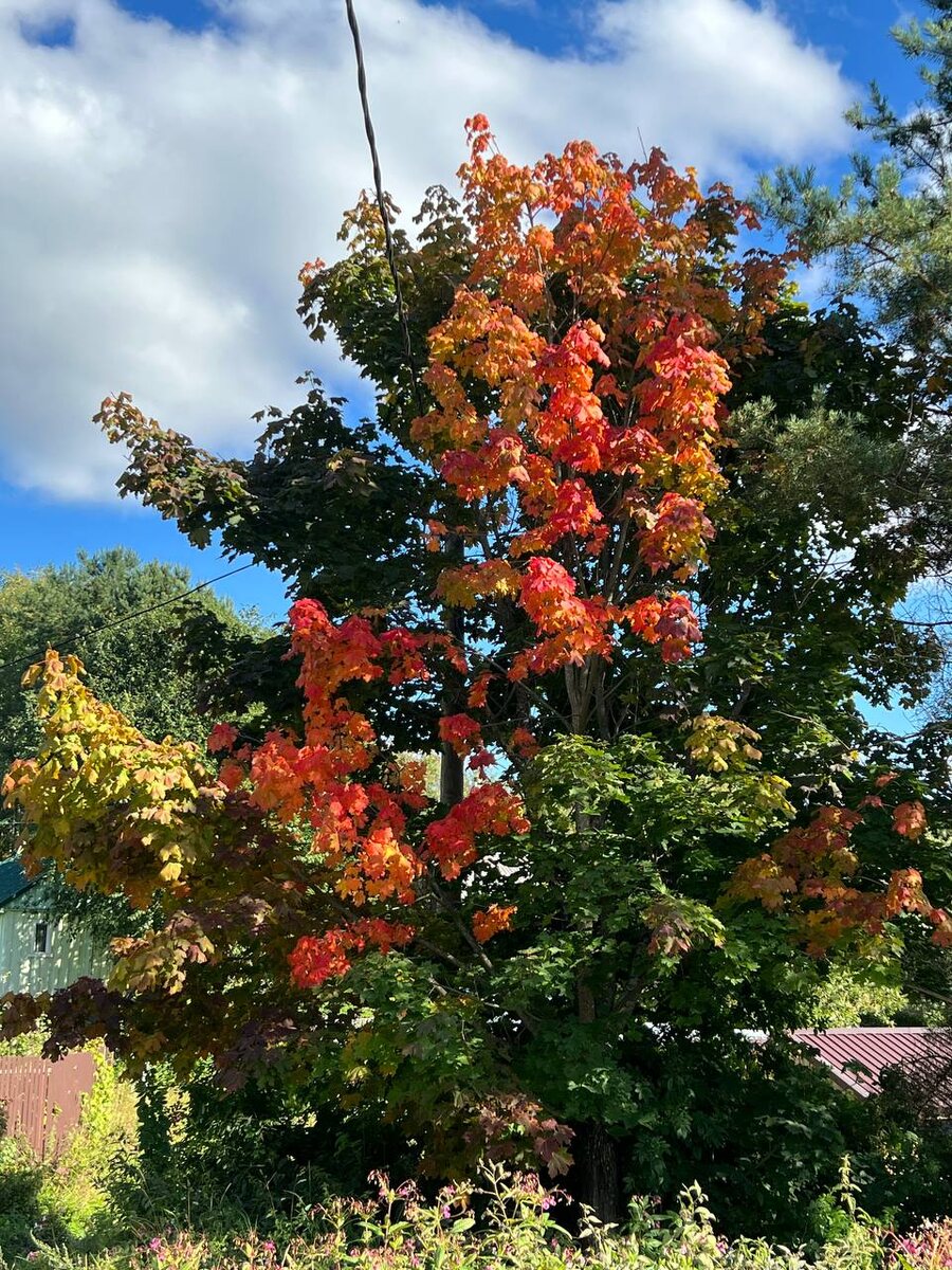 С 1 сентября всех причастных! Ура же? Да?