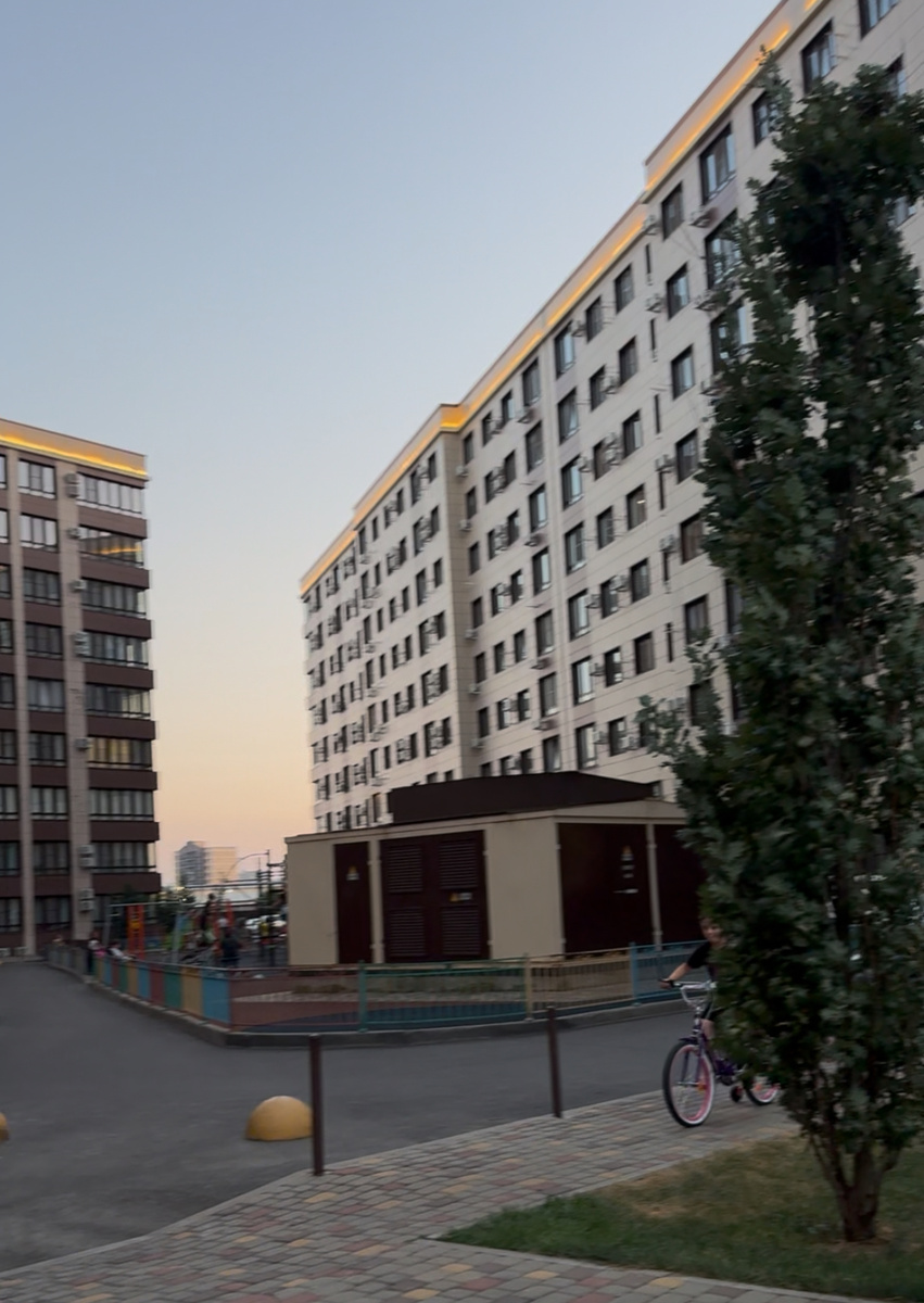 Фото: Мария Гридина 