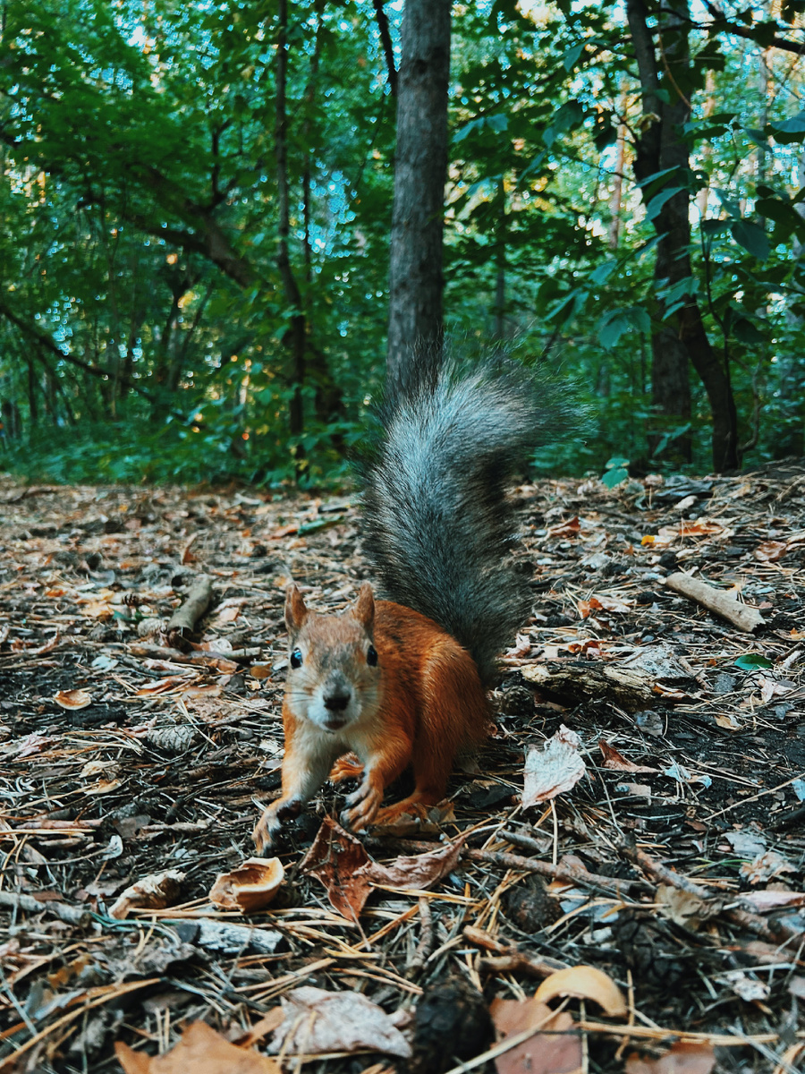 Фото автора 