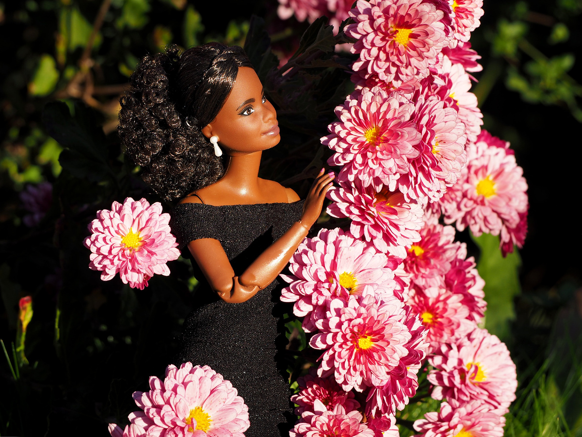 Barbie Inspiring Women.