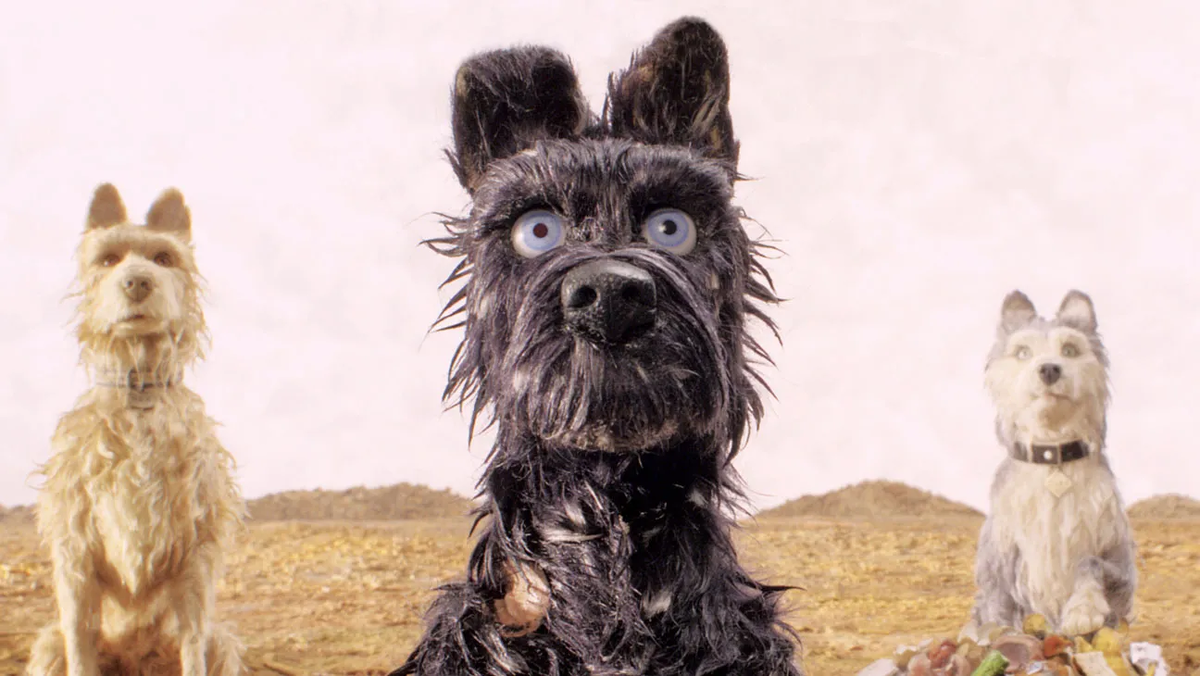 Кадр из фильма 