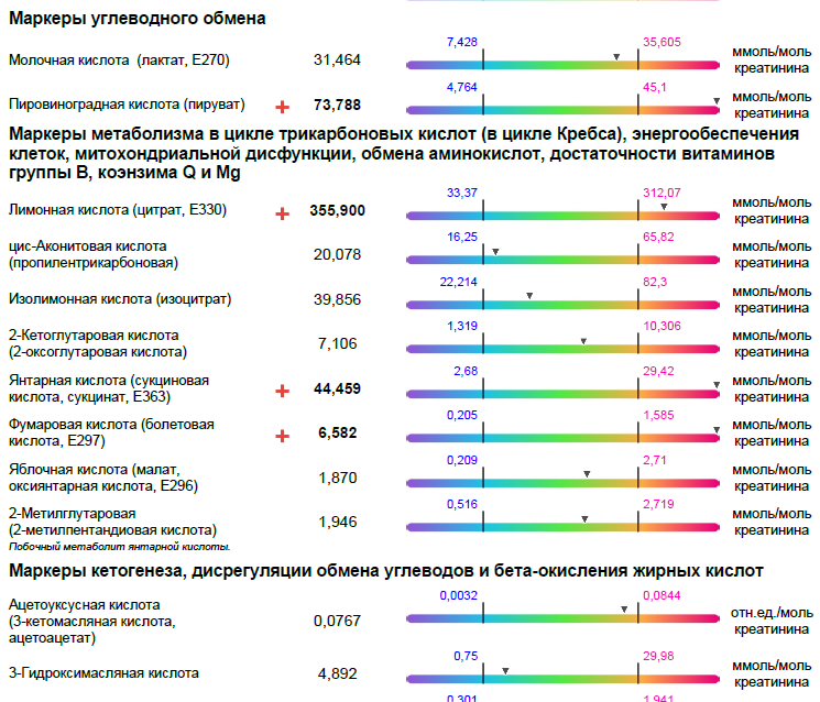 Одна страница анализа на оргкислоты мочи из лаборатории Хромолаб