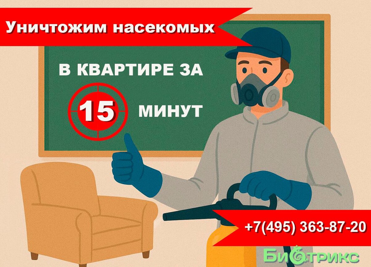 Избавиться от клещей в квартире за 15 минут