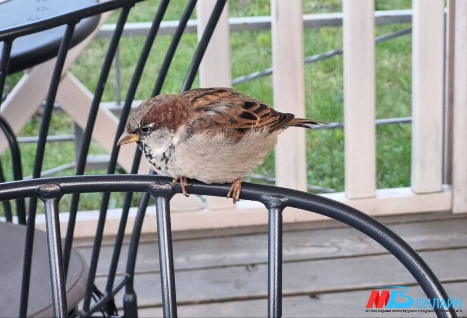    Фото: МТВ.ОНЛАЙН / архив