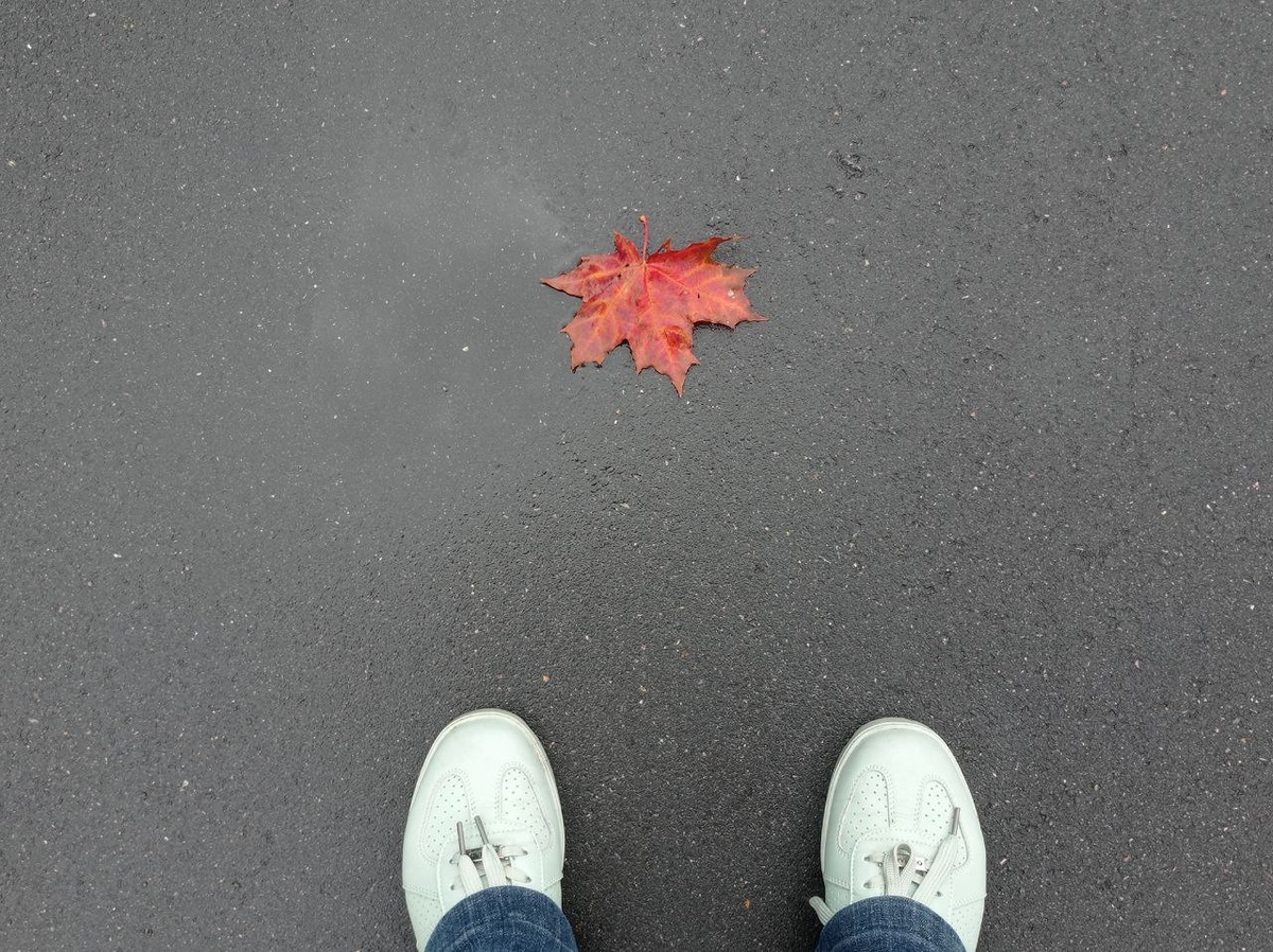 Осенний привет.