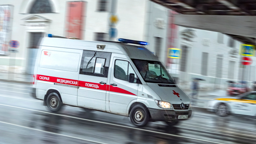    Фото: ИЗВЕСТИЯ/Константин Кокошкин