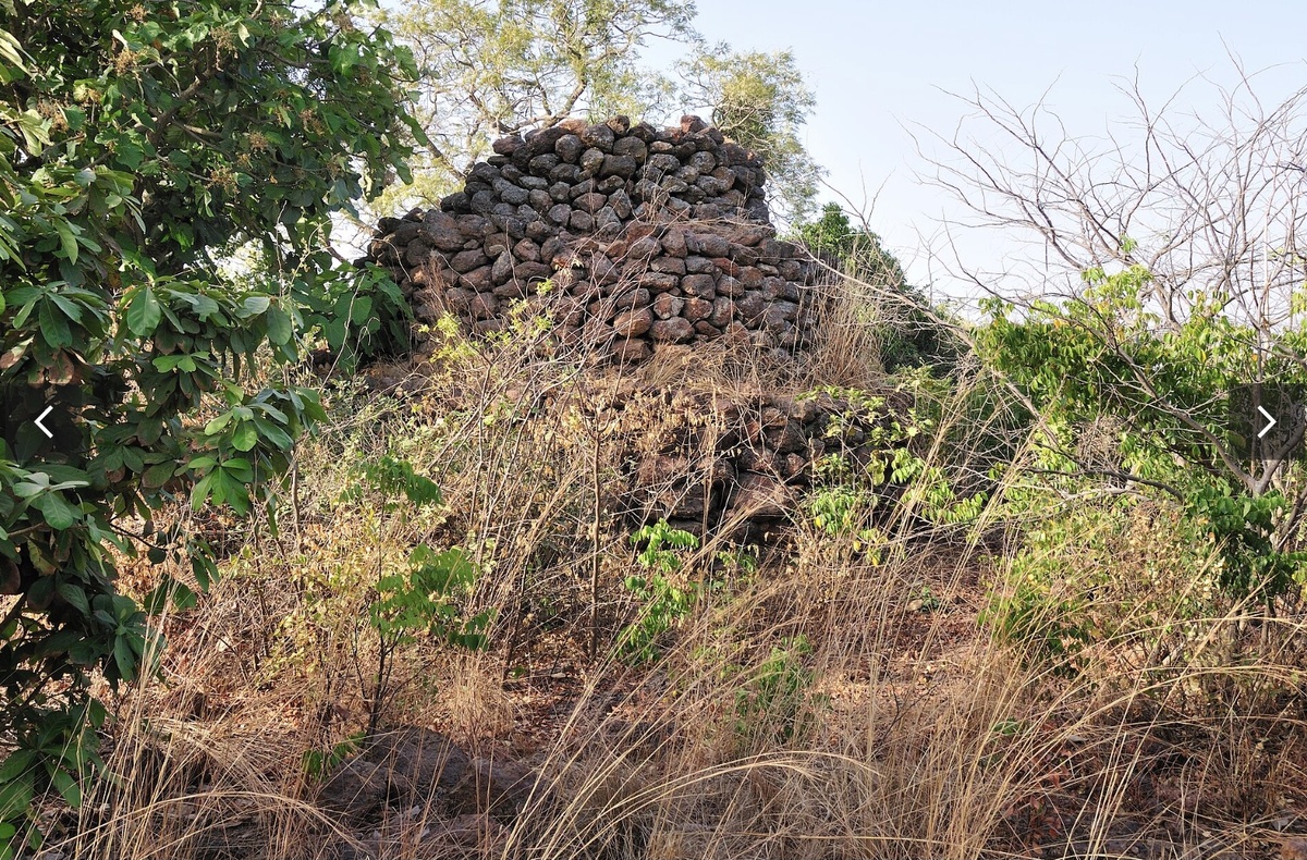 Фото с Яндекс.Картинки