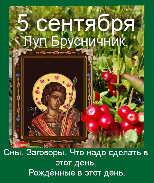 Источник : Яндекс  картинки.