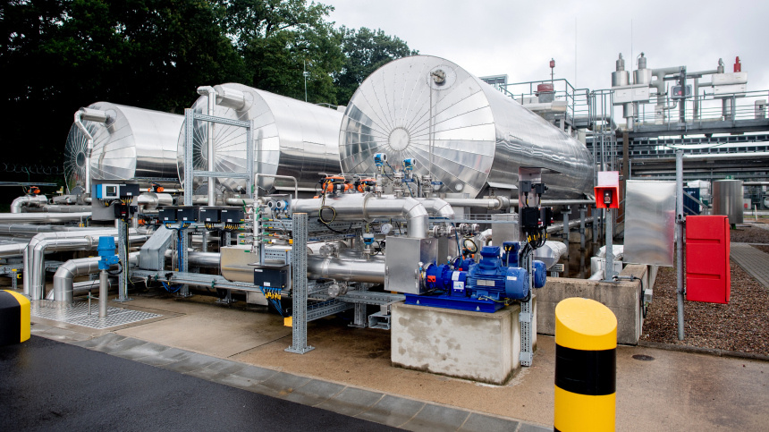    Фото: www.globallookpress.com/Hauke-Christian Dittrich; 5-tv.ru