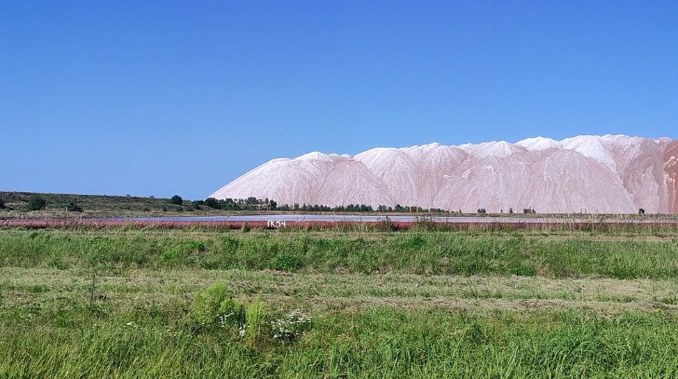 Все фото в статье автора