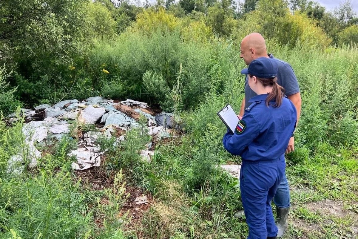    В Хабаровске потребовали убрать останки скота возле питомника Лукашова