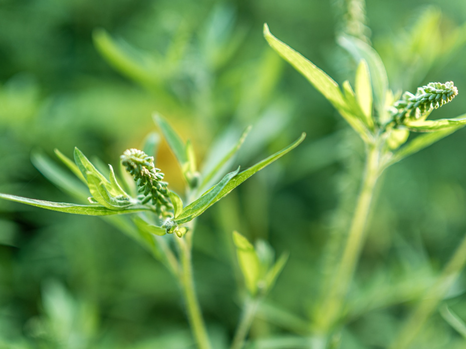    Frank Hammerschmidt/dpa/Global Look Press