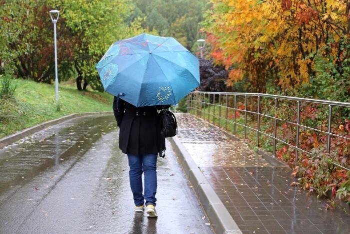 Обложка © Shutterstock / FOTODOM / Oleg Elkov