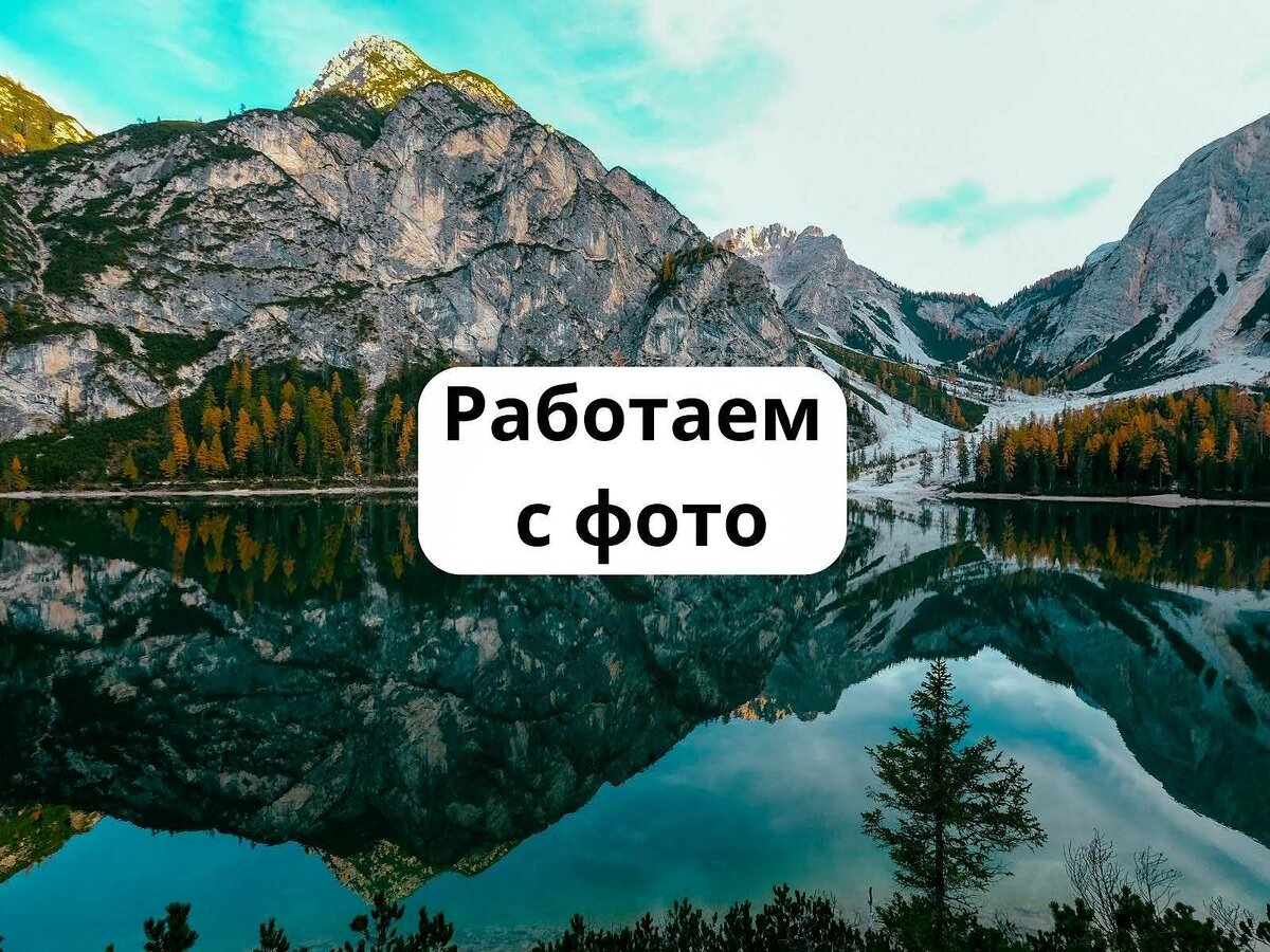 Инфографика для авито