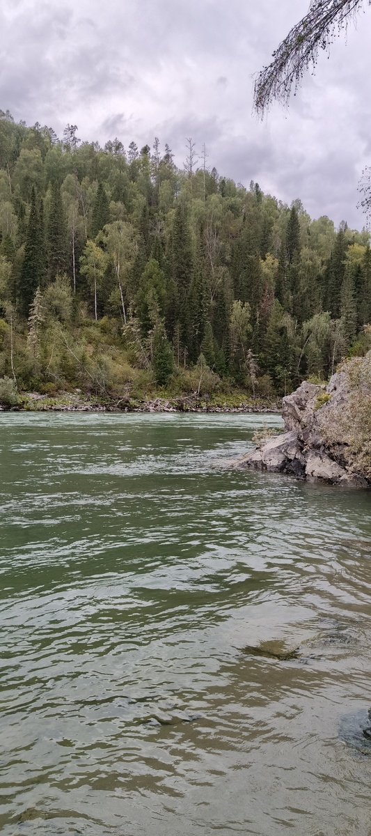 Недобро встречает нас "Казан".