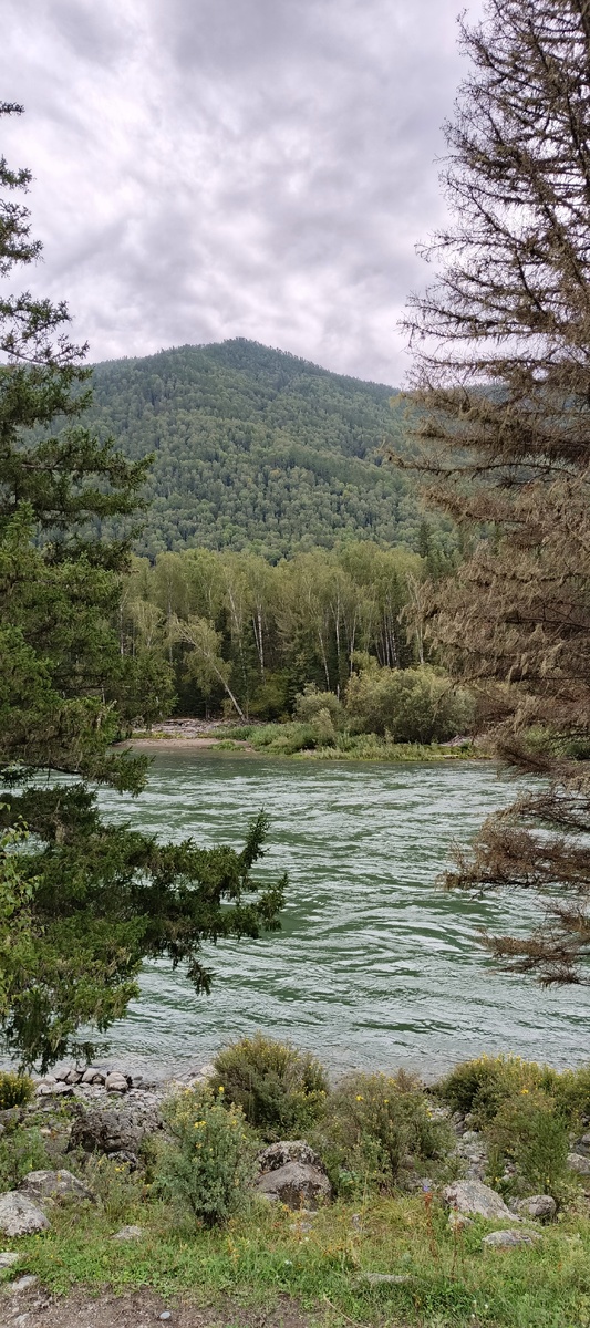 Это место рыбаки называют "Зелененькая"