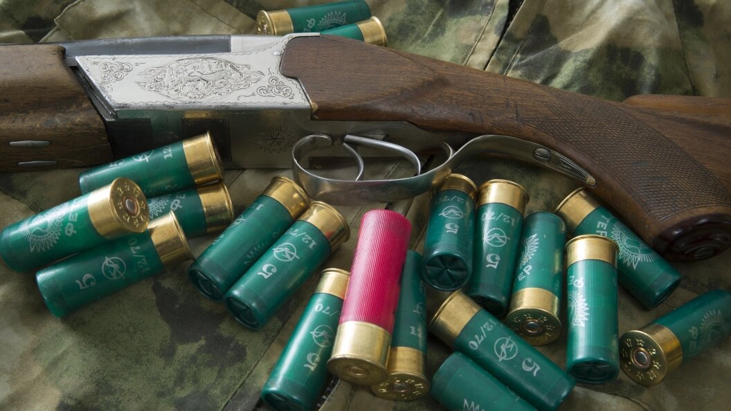    Фото: Nikolay Gyngazov/Globallookpress