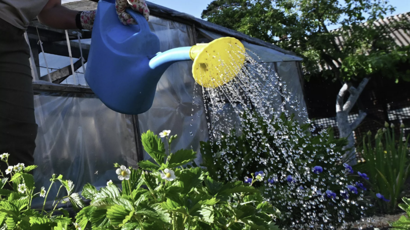   РИА Новости