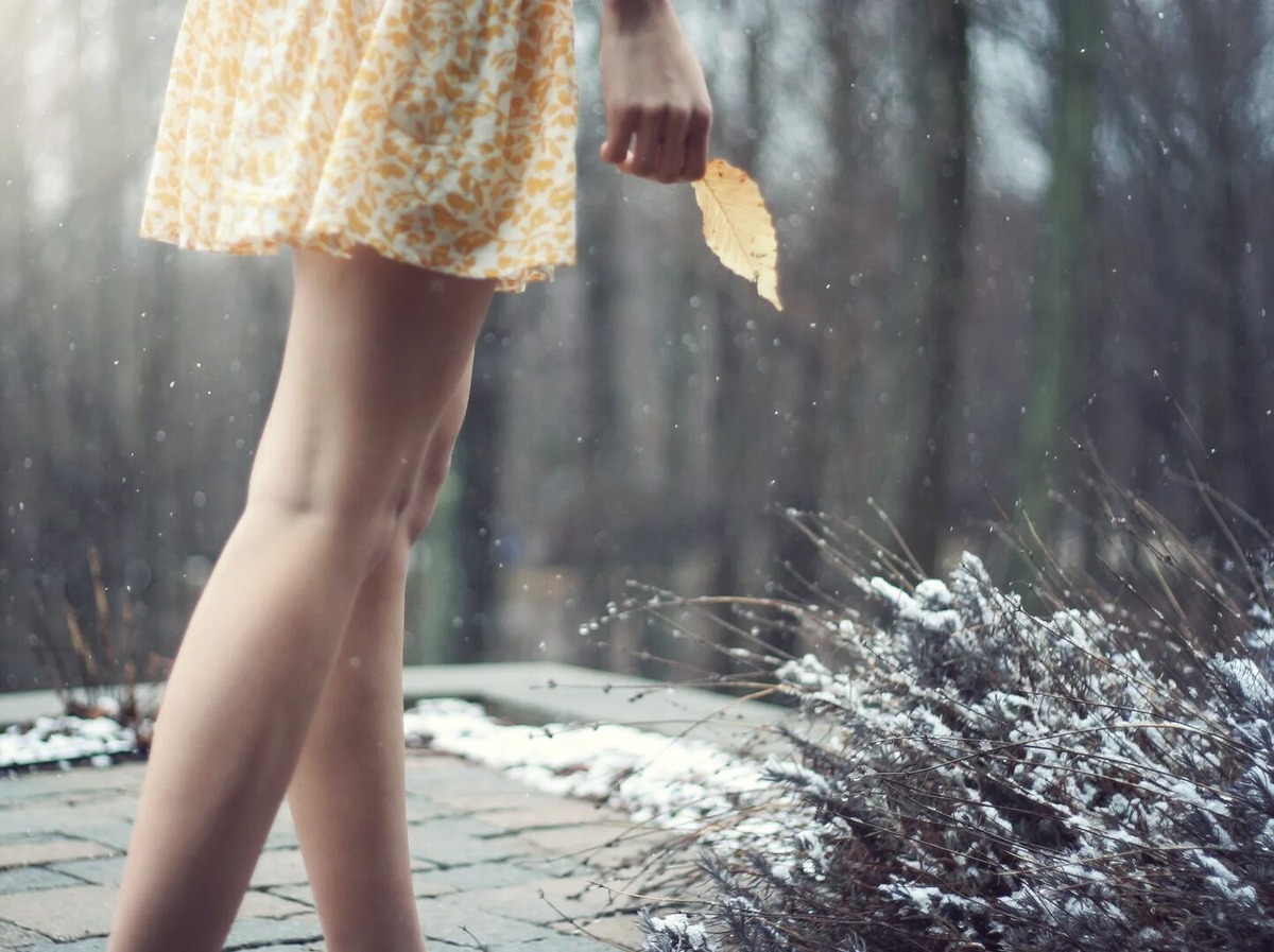 Изображение взято из открытых источников интернета. 