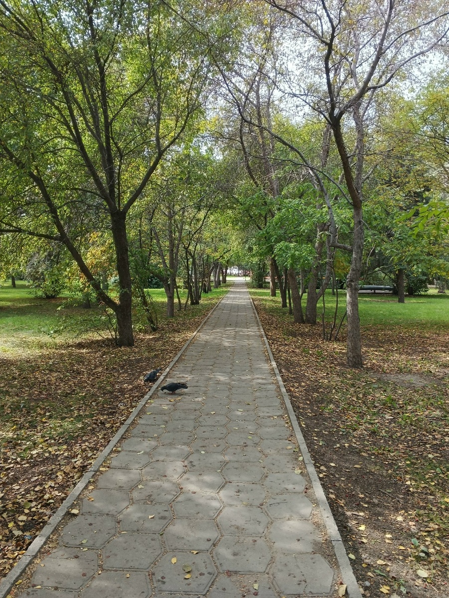 Сквер образца 31.08.2025