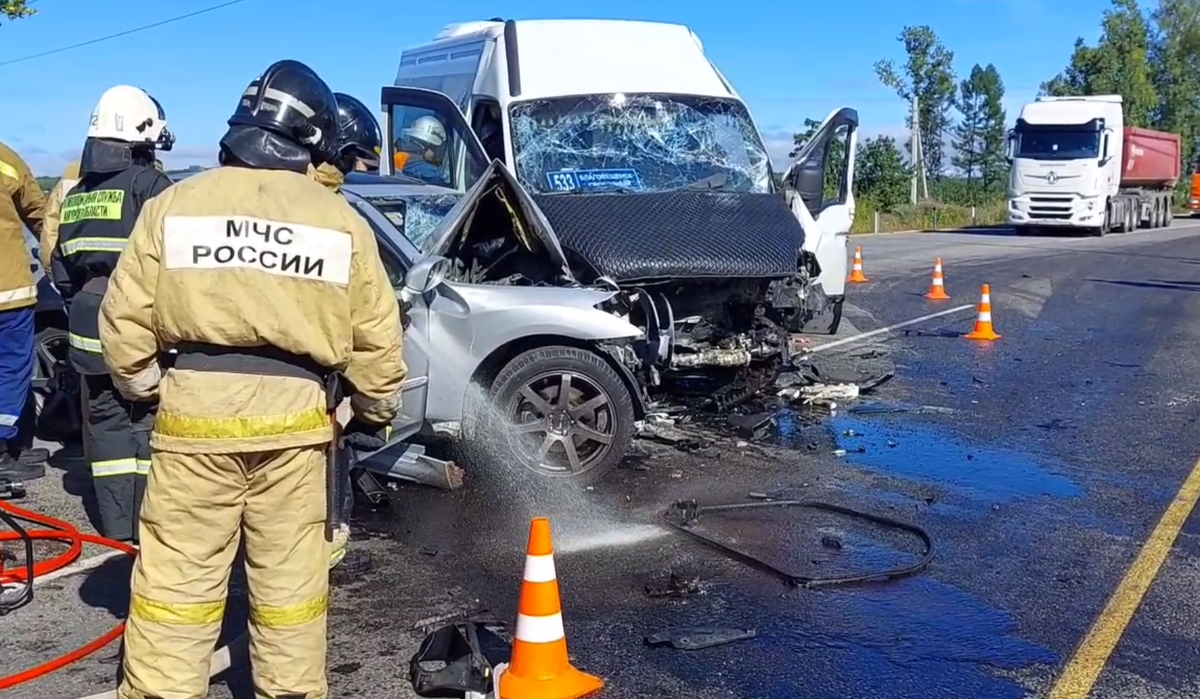     / Источник: © Госавтоинспекция Амурской области