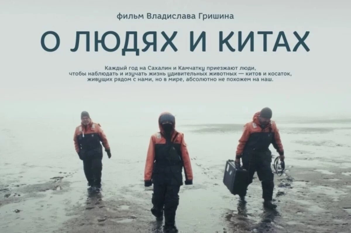    В Москве состоится премьера фильма о китах, который снимали на Сахалине
