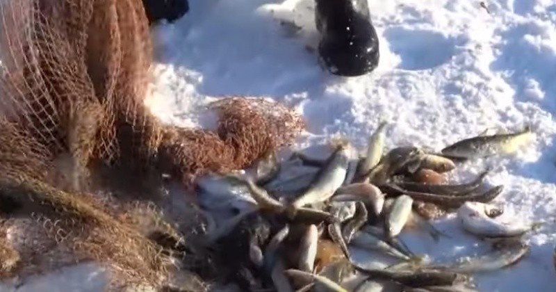   Фото: тематическое / Колыма.ru