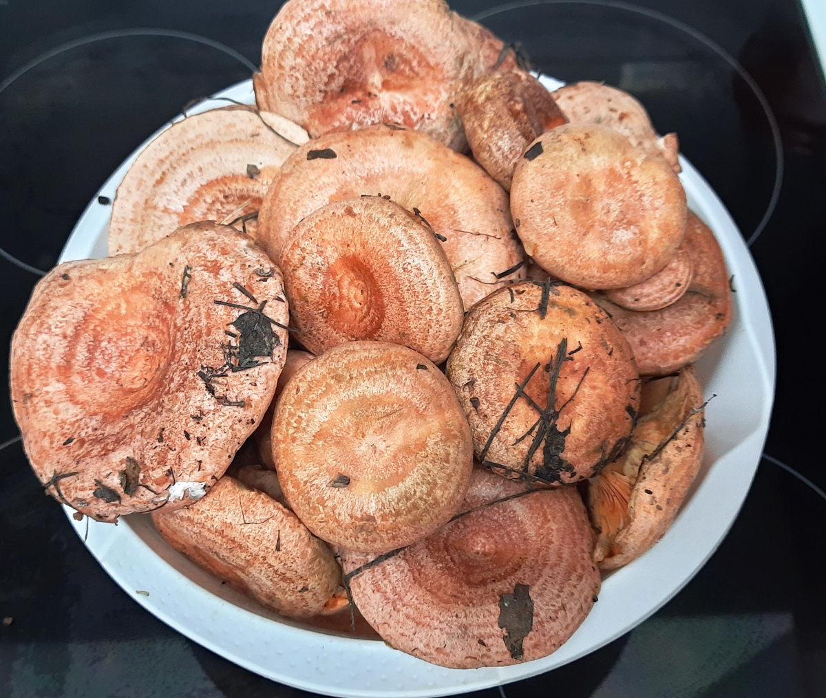 Рыжики соленые