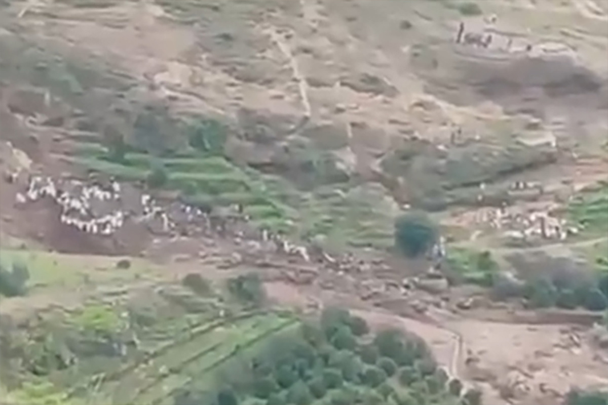    Фото: скрин с видео, источник: Sadeia / X