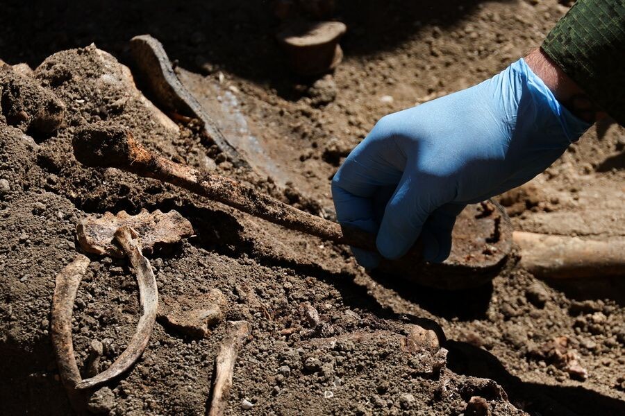     / Источник: © Александр Полегенько/ТАСС