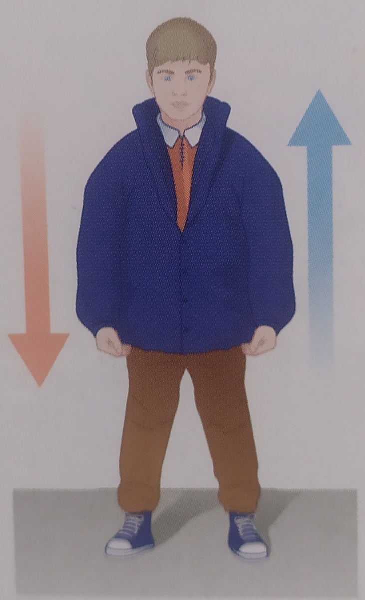 Равновесие тел