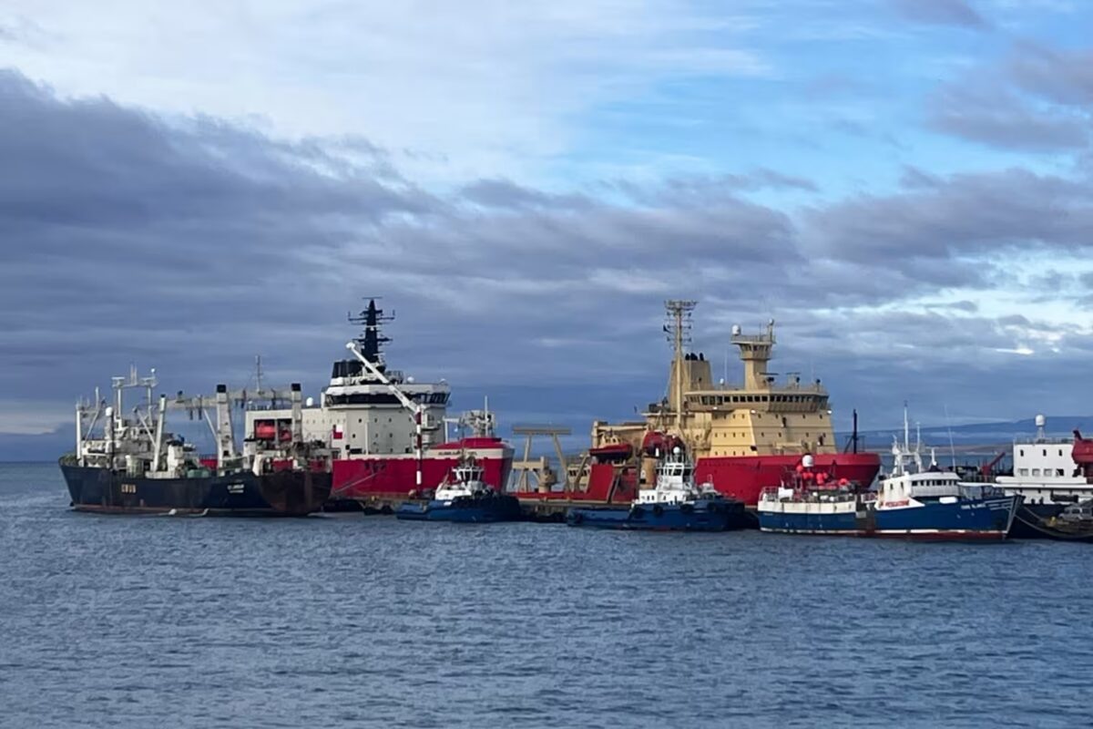    Чилийский ледокол RVIB Almirante Oscar Viel слева и RVIB Nathaniel B. Palmer справа. Пунта-Аренас, Чили / © Julia S. Wellner, NBC News