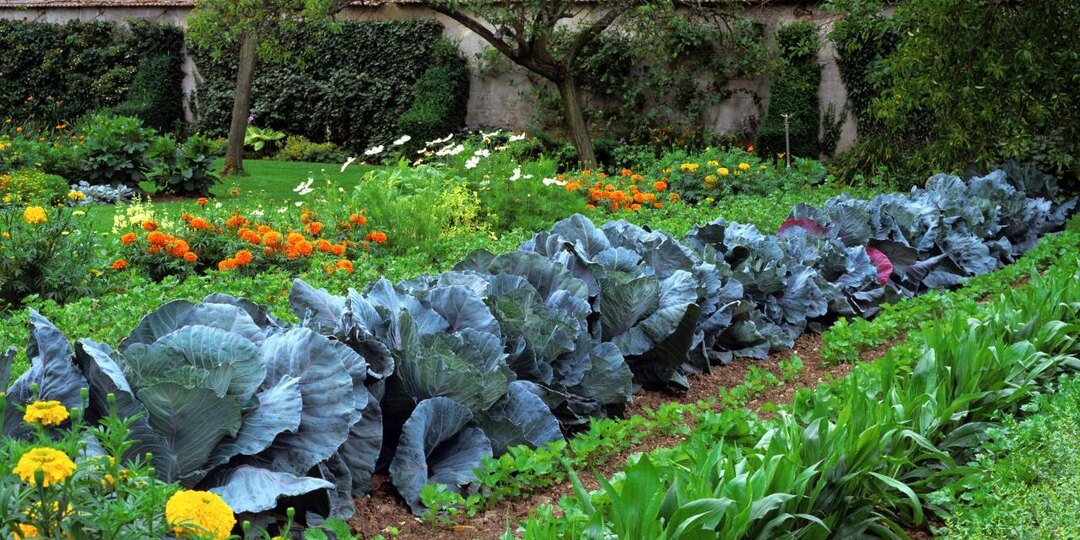 Установлены точные признаки неиспользования земельного участка для его изъятия у собственника