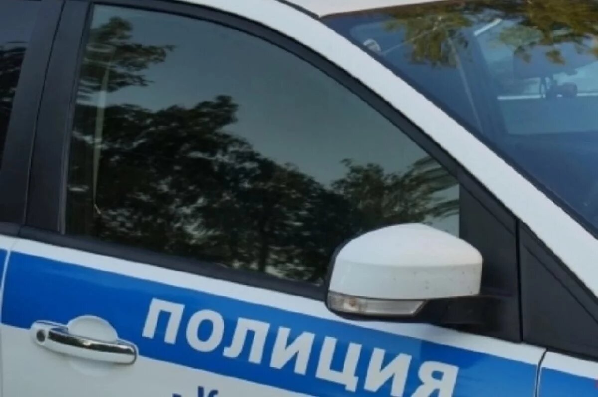    На Сахалине полицейские задержали подростков за незаконный вылов горбуши